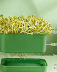 🔥Limited stock available 50% OFF🔥Stackable Bean Sprout Growing Box - Multi-layer Design, Perfect for Home Cultivation, Healthy Green Living!