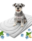 🔥50% OFF!!! Pet Cooling Mat for Dogs & Cats🔥