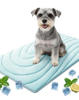 🔥50% OFF!!! Pet Cooling Mat for Dogs & Cats🔥