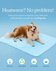 ❄️🐾Pet Cooling Mat (4x Enhanced Cooling Effect)🐶 A Summer Must-Have For Every Pet Owner