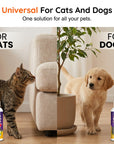 🥳2026 HOT SALE🥳💞50K+ SOLD!🐱🚫 50% OFF! Pet Boundary Spray – Citrus formula, safe around kids. Reusable, effective. Teach boundaries without stress. 💚✨