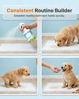 Potty Training Aid Spray for Dogs & Cats