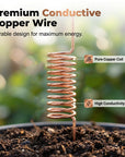 🔥Limited-time offer-Copper Spiral Antenna Plant Stakes