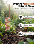 🔥Limited-time offer-Copper Spiral Antenna Plant Stakes