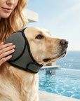 Waterproof Dog Calming Hoodie
