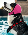 Waterproof Dog Calming Hoodie