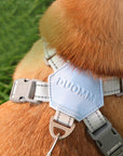 X-frame No-Pull Dog Harness Set with Leash