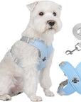 X-frame No-Pull Dog Harness Set with Leash