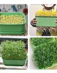 🔥Limited stock available 50% OFF🔥Stackable Bean Sprout Growing Box - Multi-layer Design, Perfect for Home Cultivation, Healthy Green Living!