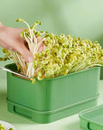 🔥Limited stock available 50% OFF🔥Stackable Bean Sprout Growing Box - Multi-layer Design, Perfect for Home Cultivation, Healthy Green Living!