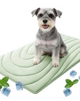 🔥50% OFF!!! Pet Cooling Mat for Dogs & Cats🔥