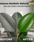 Artificial Plant & Flower Cleaner