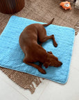 ❄️🐾Pet Cooling Mat (4x Enhanced Cooling Effect)🐶 A Summer Must-Have For Every Pet Owner