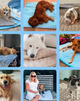 ❄️🐾Pet Cooling Mat (4x Enhanced Cooling Effect)🐶 A Summer Must-Have For Every Pet Owner