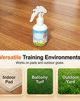 Potty Training Aid Spray for Dogs & Cats