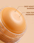 Moisturizing Paw Protection Stick