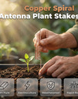 🔥Limited-time offer-Copper Spiral Antenna Plant Stakes