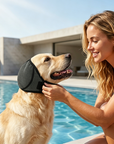 Waterproof Dog Calming Hoodie
