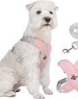 X-frame No-Pull Dog Harness Set with Leash