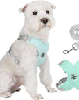 X-frame No-Pull Dog Harness Set with Leash